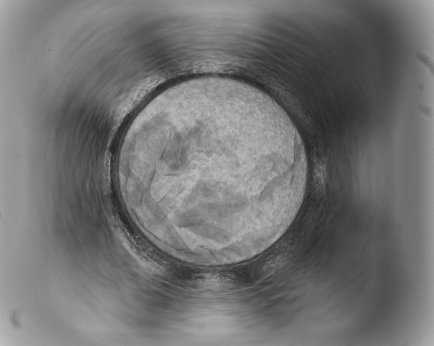 X0000103910678200810171706