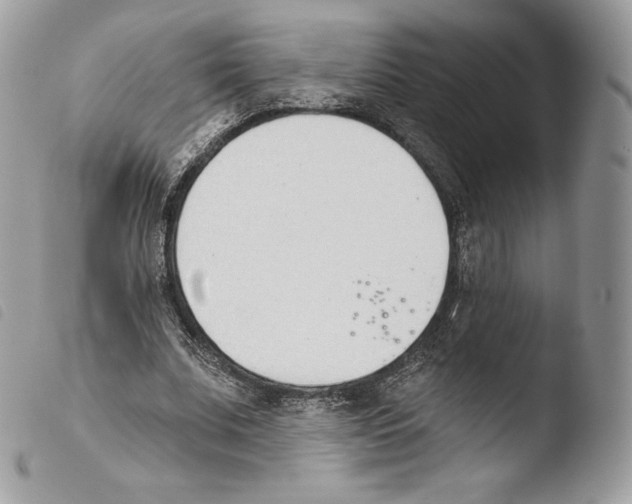 X0000103910679200810171706