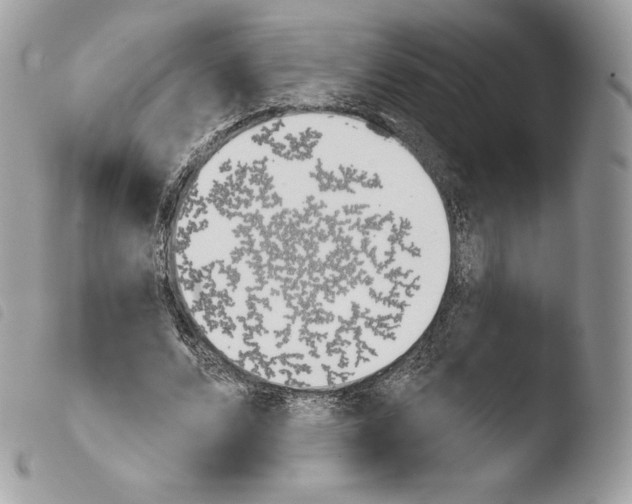 X0000103910680200810171706
