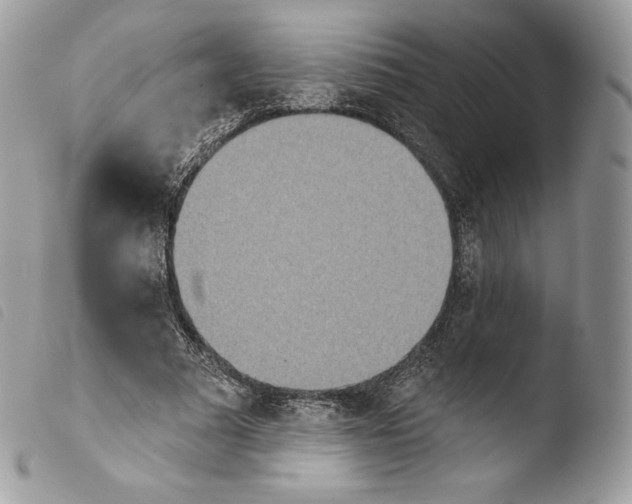 X0000103910681200810171706