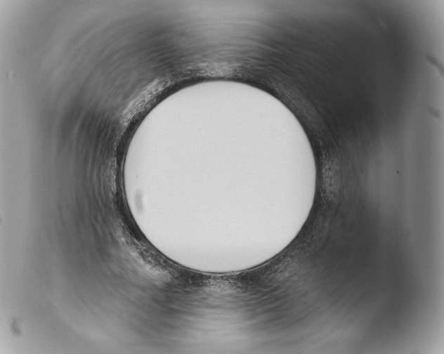 X0000103910682200810171706