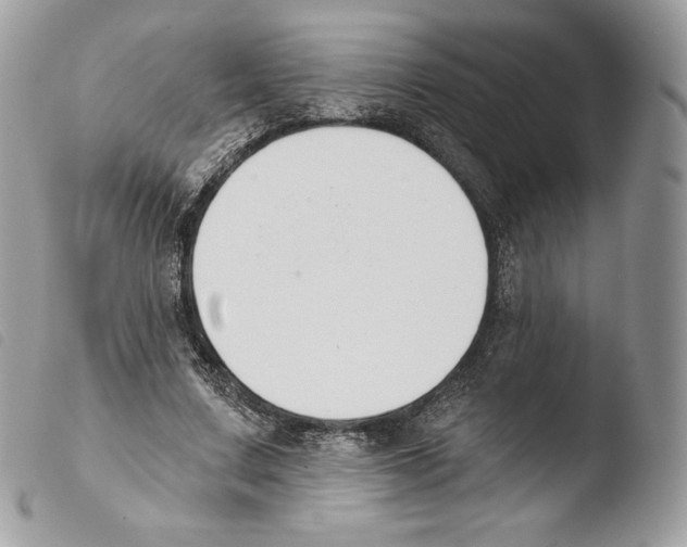 X0000103910683200810171706