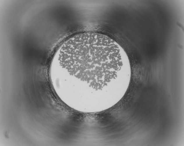 X0000103910684200810171705