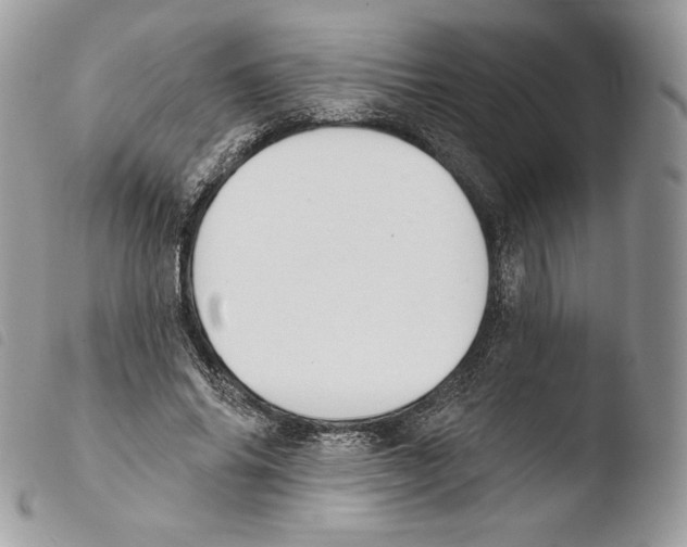 X0000103910686200810171705