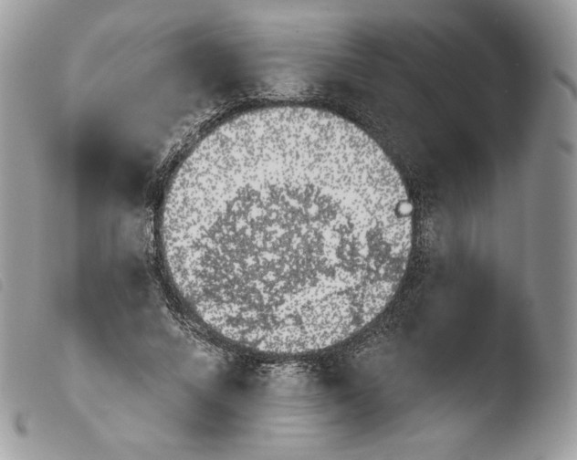 X0000103910688200810171705