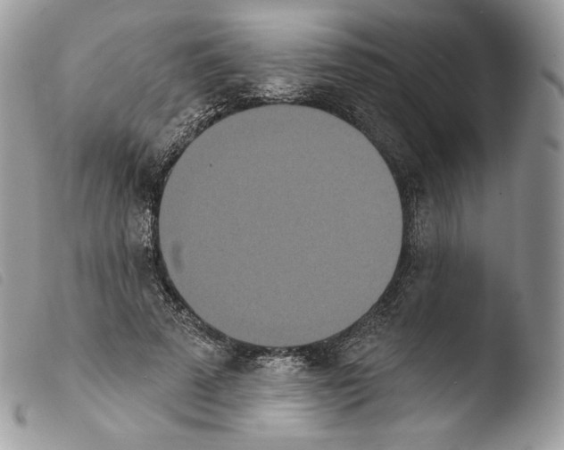 X0000103910689200810171705