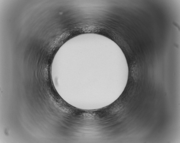 X0000103910690200810171705