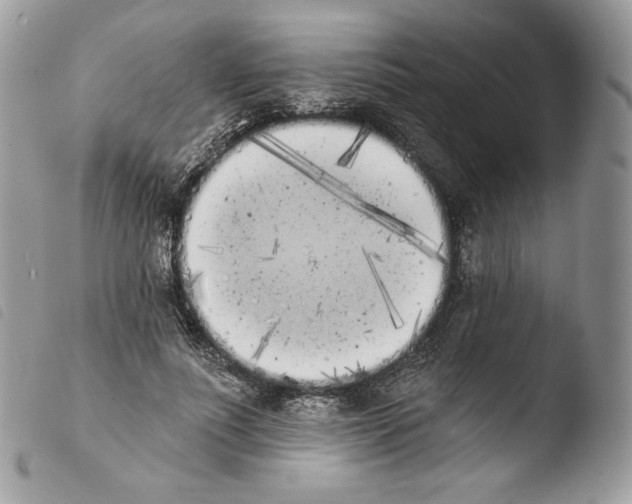X0000103910691200810171705