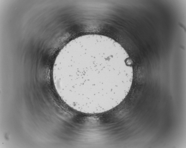 X0000103910692200810171705