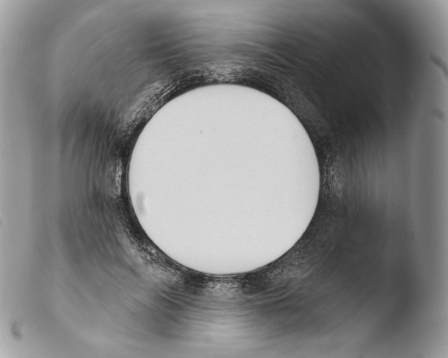 X0000103910694200810171705