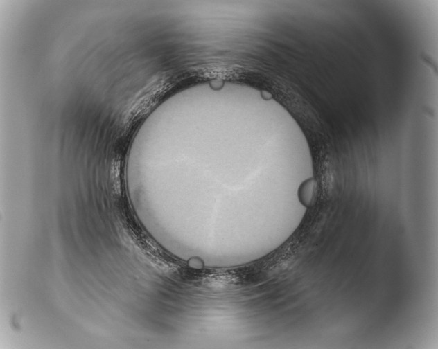 X0000103910696200810171705