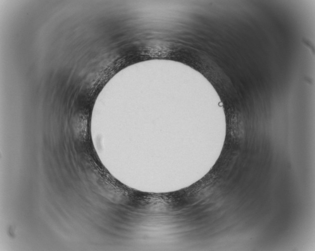 X0000103910697200810171705