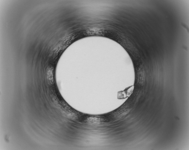 X0000103910699200810171705