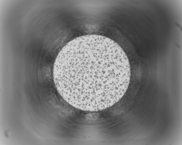 X0000103910700200810171705
