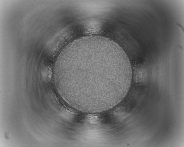 X0000103910701200810171705