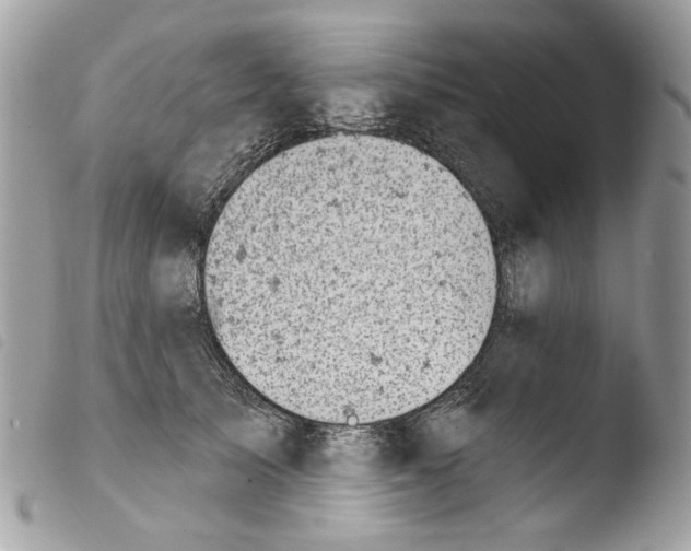 X0000103910705200810171705