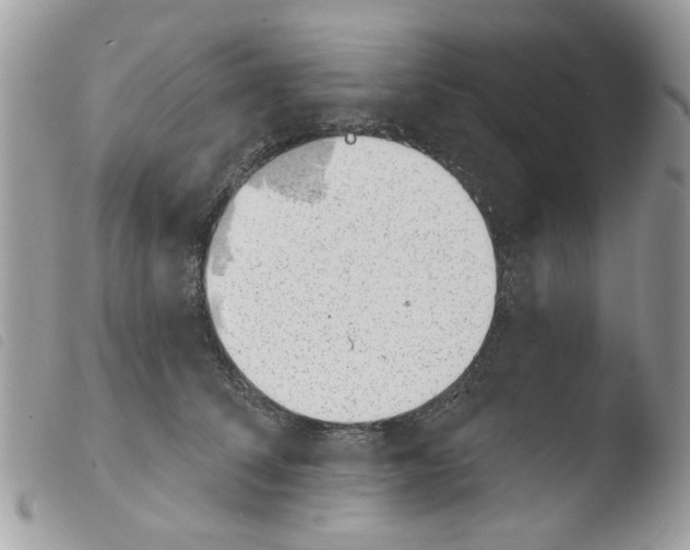 X0000103910708200810171705