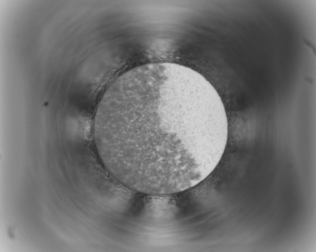 X0000103910709200810171705