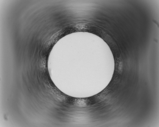 X0000103910710200810171705
