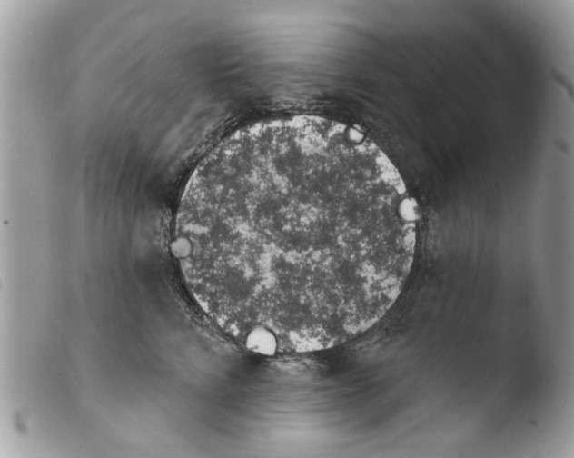 X0000103910712200810171705