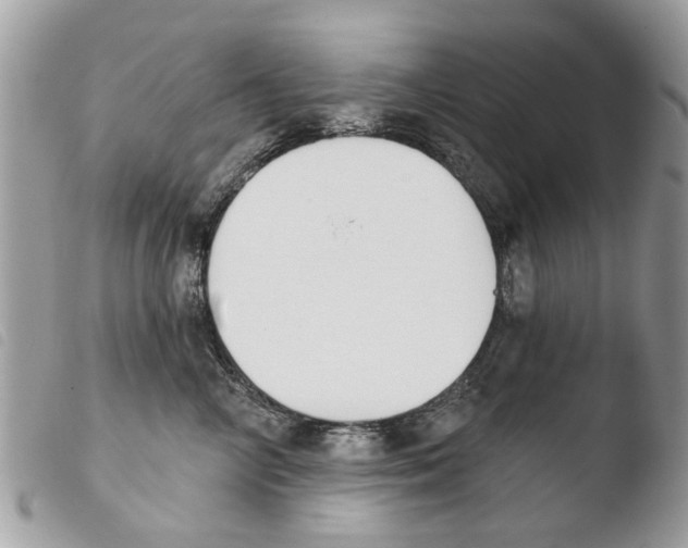 X0000103910714200810171705
