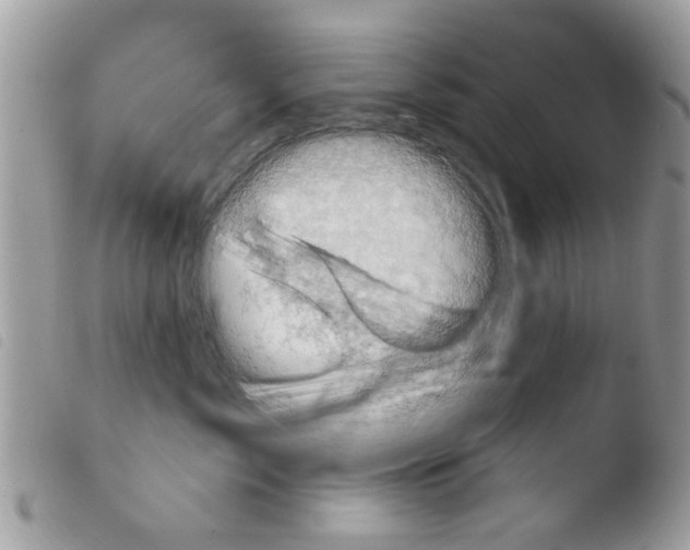 X0000103910717200810171705