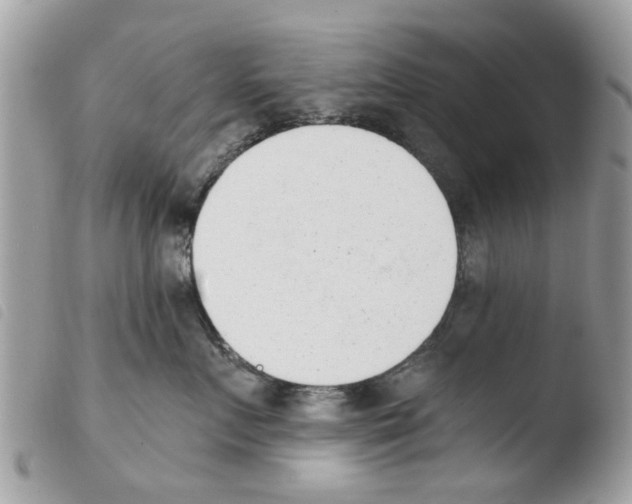 X0000103910719200810171705