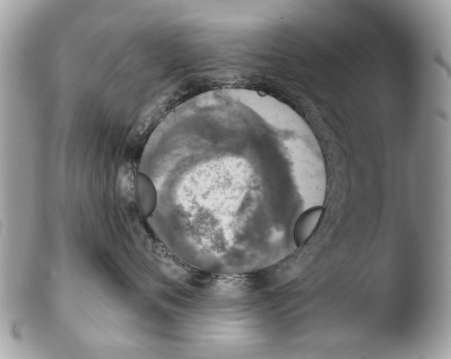 X0000103910720200810171705