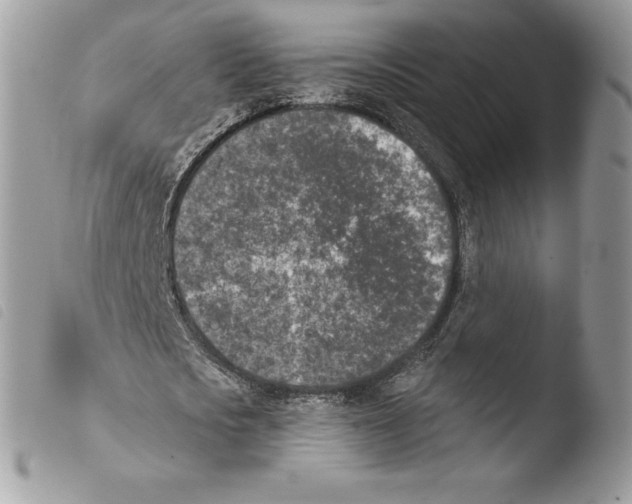 X0000103910721200810171704
