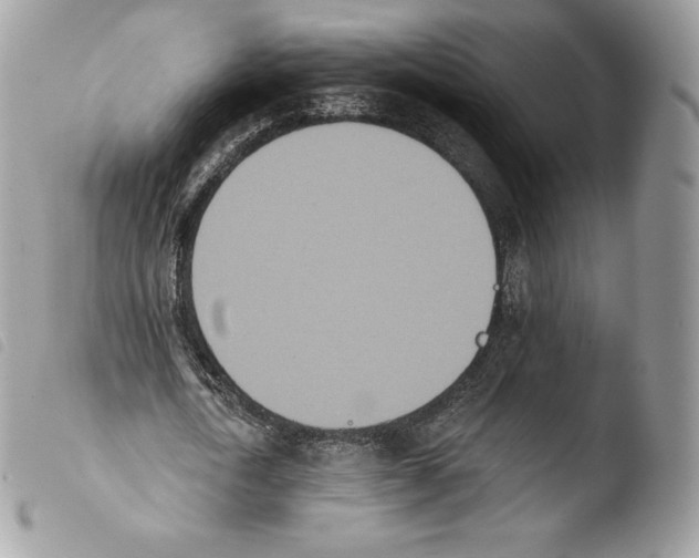 X0000103910722200810171704