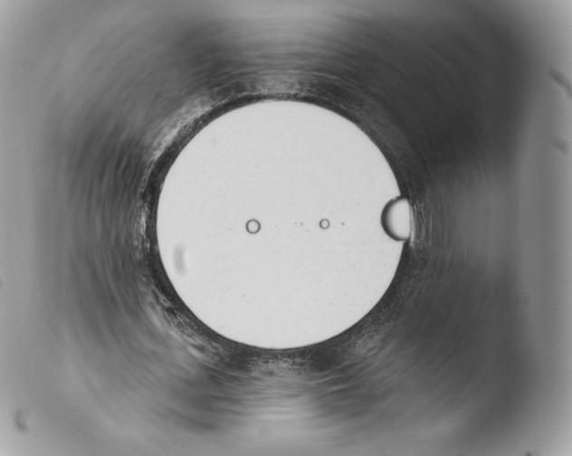 X0000103910723200810171704