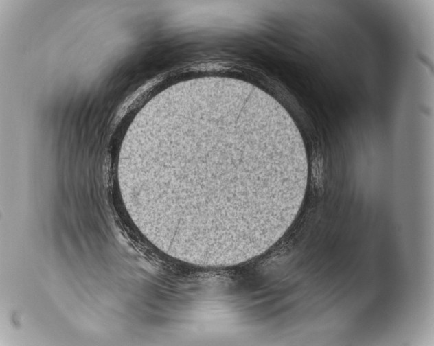X0000103910724200810171704
