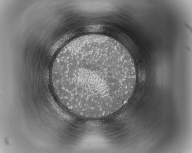 X0000103910725200810171704