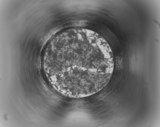 X0000103910726200810171704
