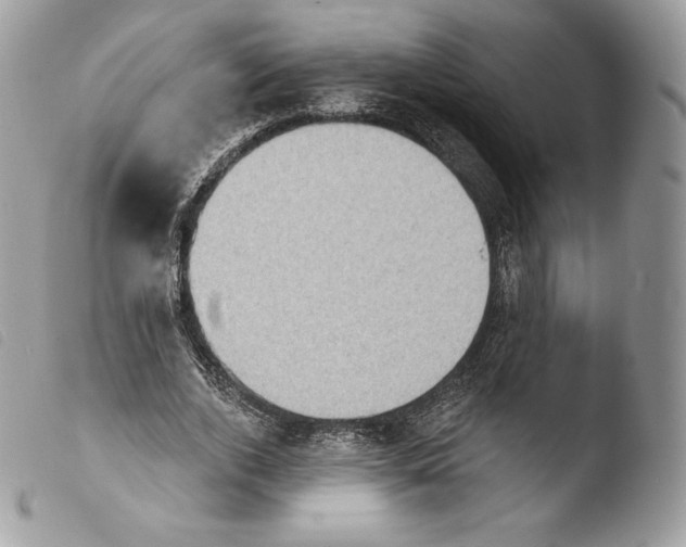 X0000103910728200810171704