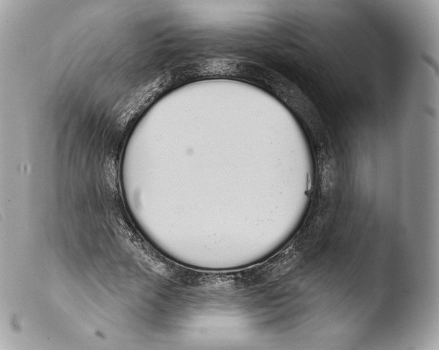 X0000103910729200810171704
