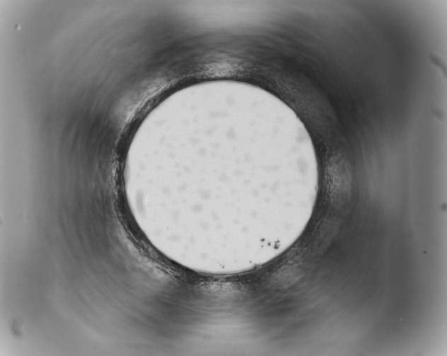 X0000103910730200810171704