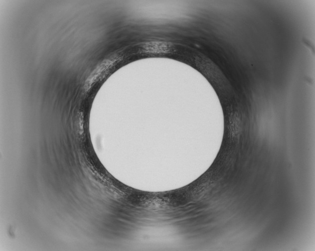 X0000103910731200810171704