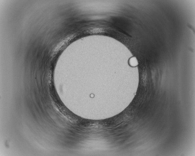 X0000103910732200810171704