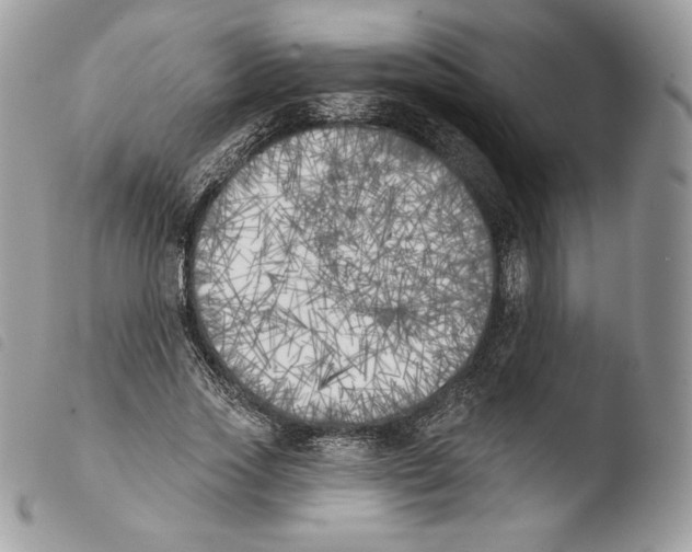 X0000103910733200810171705
