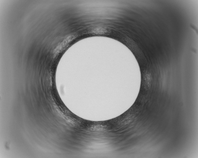 X0000103910734200810171705