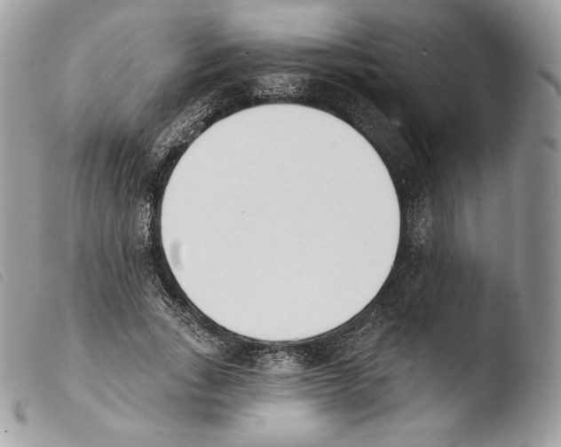 X0000103910735200810171705