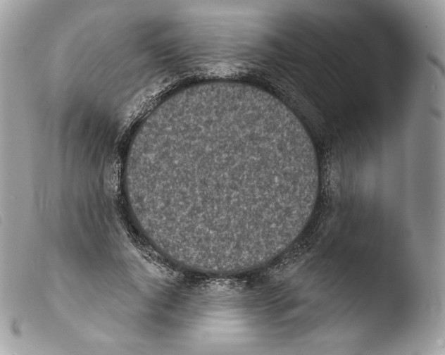 X0000103910736200810171705