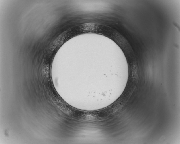 X0000103910737200810171705