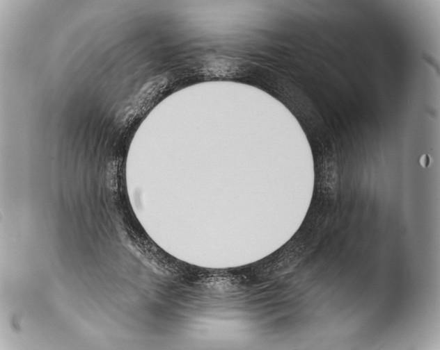 X0000103910738200810171705