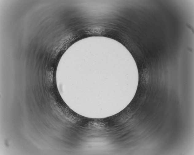 X0000103910739200810171705