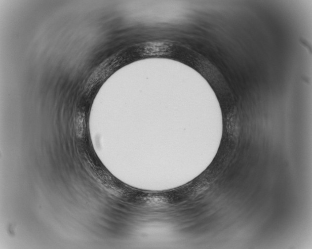 X0000103910741200810171705