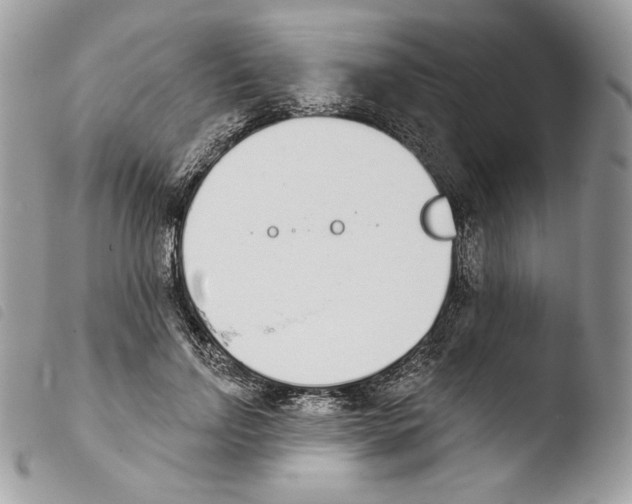 X0000103910742200810171705