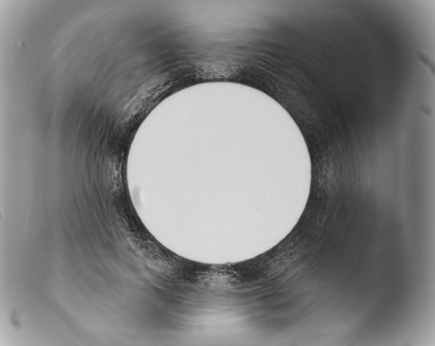 X0000103910743200810171705