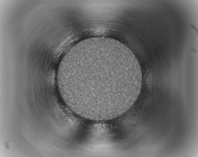 X0000103910744200810171705